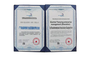 2021年广东省财务行业百强优秀企业