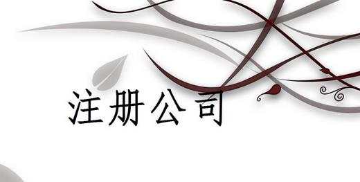 注册公司为什么推荐找代理注册公司的机构呢？