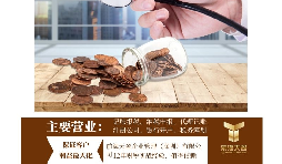 深圳进出口公司的注册资产要求